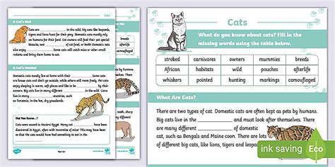 Cats Cloze Activity Teacher Made Twinkl