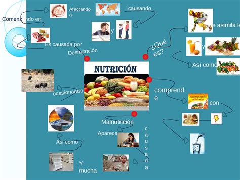 Calaméo Mapa Mental Nutrición