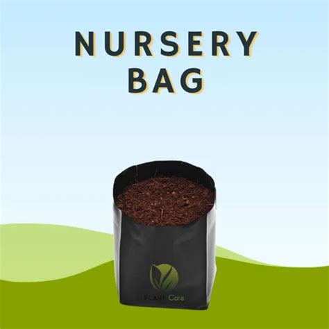 Black Rectangular Nursery Plant Bag At Kilogram In Ahmedabad Id