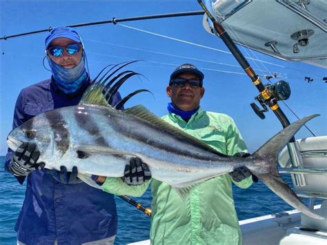 Video All About Catching Roosterfish The Zancudo Lodge Costa Rica