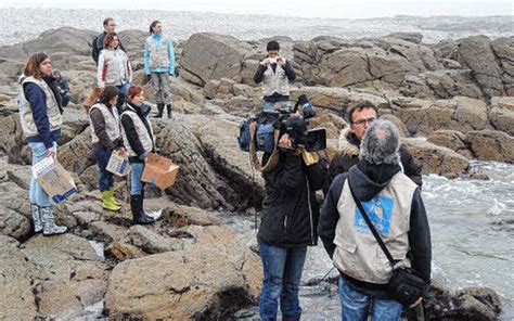 Oiseaux mazoutés La LPO porte plainte Le Télégramme