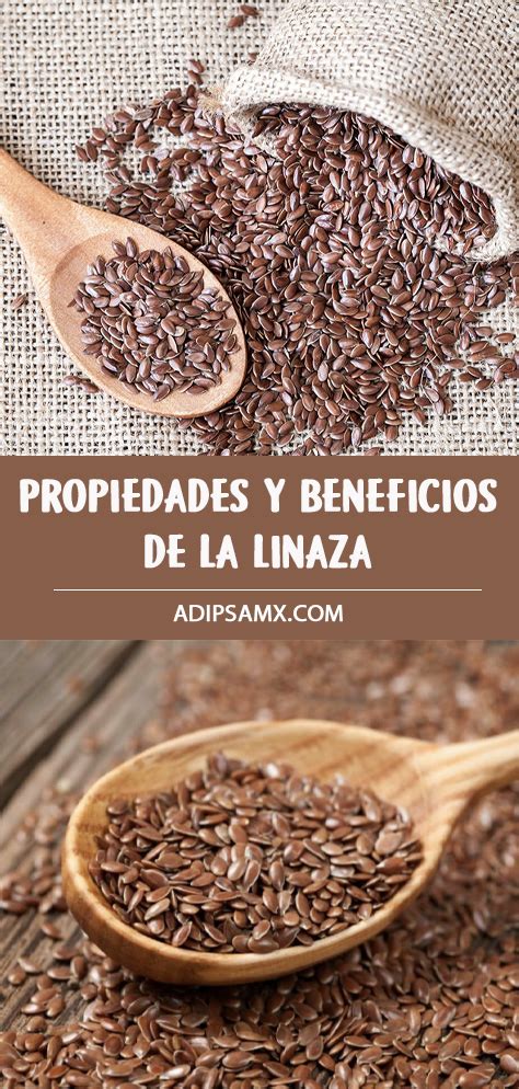 Propiedades Y Beneficios De La Linaza