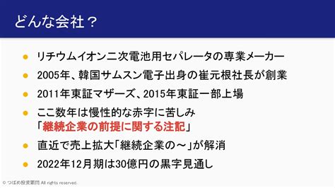 ダブル・スコープ 連続ストップ安の裏側 つばめ投資顧問