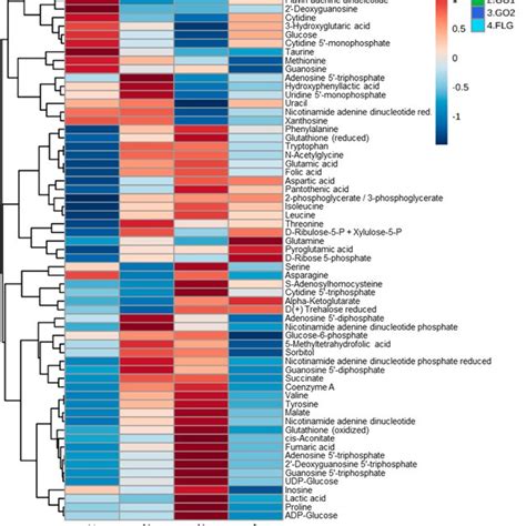 Metabolites Altered In Hacat Cells Treated For Days With Grms