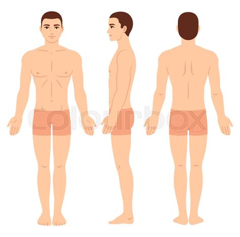 Male Body Outline Front And Back