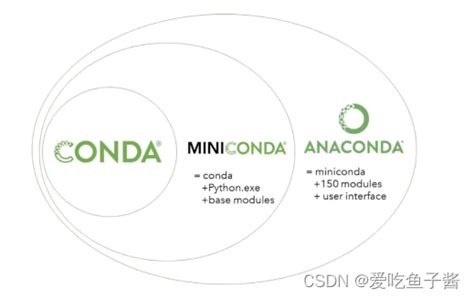 Linux conda R Rstudio下载安装环境全方面配置 conda安装rstudio CSDN博客