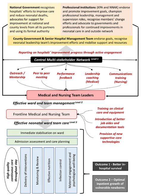 Programme Theory For A Network Intervention To Achieve Large Scale Download Scientific Diagram