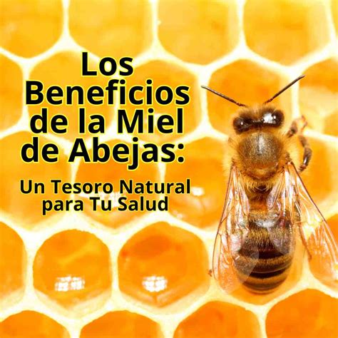 Los Beneficios De La Miel De Abejas Un Tesoro Natural Para Tu Salud