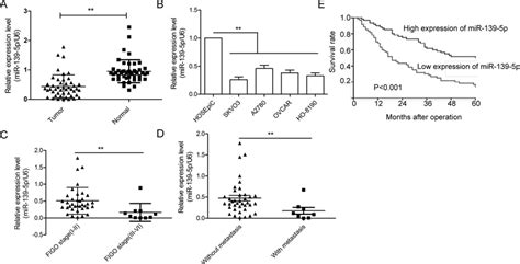 Identification Of The Expression Of Mir 139 5p In Ovarian Cancer Oc