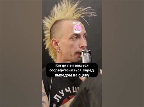 Как поймать тигра в клетку? #ЛучшийСамыйДень #панк #панкрок #анекдот # ...