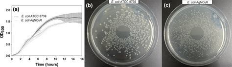 A Growth Curves For E Coli Atcc 8739 And The Silver Resistant Strain