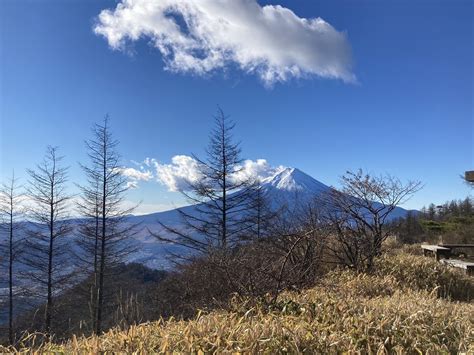 三ッ峠山（開運山）・御巣鷹山 ひよリーナさんの三ッ峠山・本社ヶ丸・鶴ヶ鳥屋山の活動データ Yamap ヤマップ