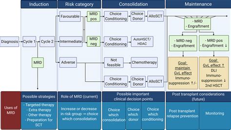 Frontiers Mrd Tailored Therapy In Aml What We Have Learned So Far