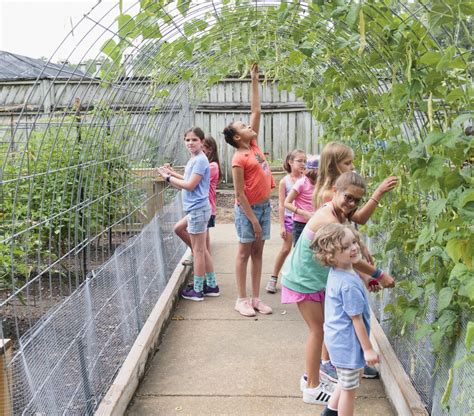 Botanical Gardens Summer Camp Dates Seka Estella