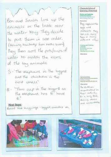 Eyfs Long Observation Form 2016 Teaching Resources