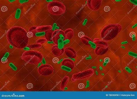 Bacteria In Blood Bacteriemia Stock Illustration Illustration Of