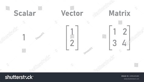 Scalars Vectors Matrices Linear Algebra Mathematics Stock Vector