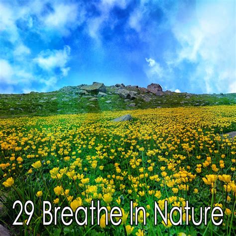 29 Breathe In Nature Album By Elements Of Nature Spotify