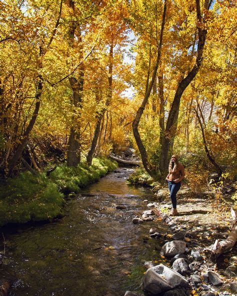 Eastern Sierra Fall Colors - TOP 20 SPOTS — Flying Dawn Marie | Travel ...