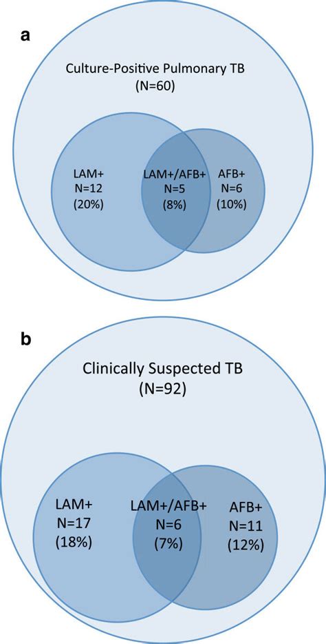 Urine LAM And Sputum Smear Microscopy AFB To Diagnose Tuberculosis