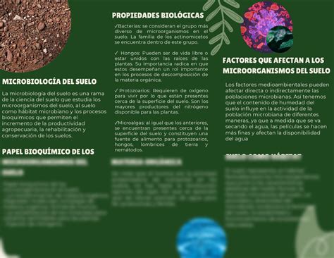 SOLUTION: Microbiología del suelo (Tríptico) - Studypool