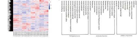 Analysis Of Transcriptome Sequencing A Numbers Of Degs Between Mt