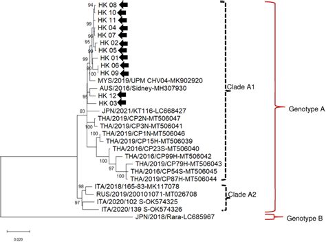 Unrooted Phylogenetic Tree Based On The Complete Genomes Of Domestic