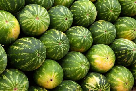 Wassermelonen Frischem Obst Und Gemüse Adam Fruits