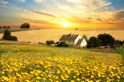 Fondo Paisaje Rural Al Atardecer Fondo Puesta De Sol Campo Turismo