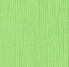 Bazzill 12 X12 Cardstock Burlap Texture Lime Sherbet