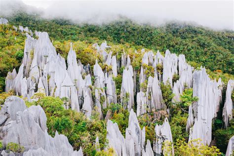 Spectacular National Parks In Malaysia No Nature Lover Should Miss