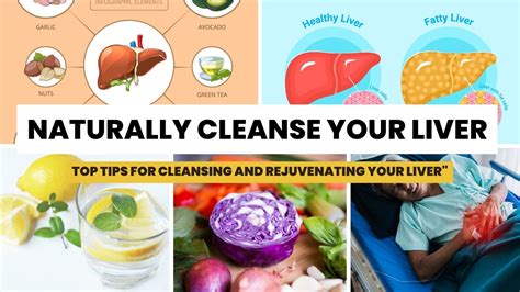 Cleanse Your Liver Naturally Effective Methods For Optimal Liver