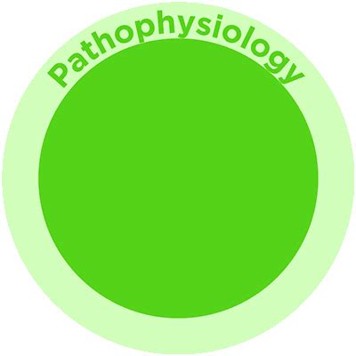 Pathophysiology Rop Clinician