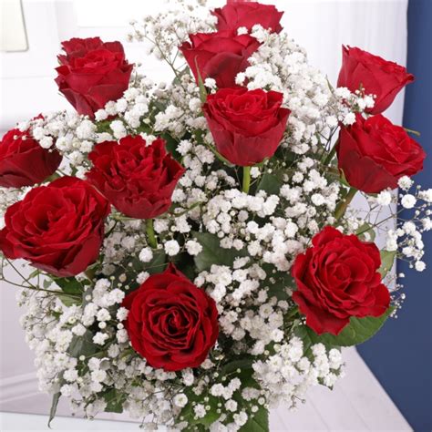 Dozen Red Roses Gypsophila