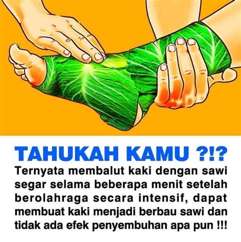 Pin Oleh Windy Zuith Di 5 Fakta Humor Lucu Dalam Kenangan Meme