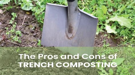 Pros And Cons Of Trench Composting Made Simple Simplify Gardening