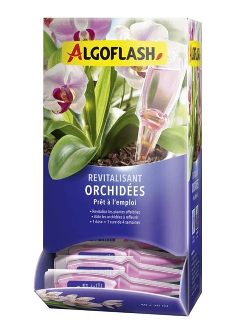 Distributeur Monodose Revitalisante Orchidées ALGOFLASH Gamm vert