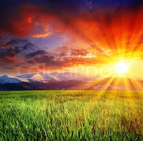 beautiful sunset over field with green grass | Stock image | Colourbox