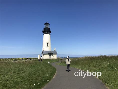 10 BEST Things to Do at Yaquina Head Lighthouse