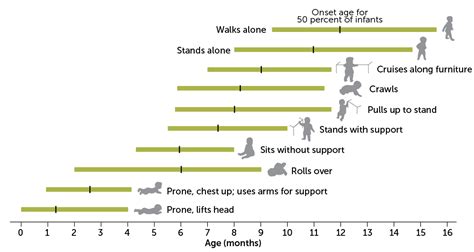 Stages Of Motor Development Chart