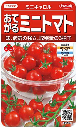 サカタのタネ 実咲野菜0100 おてがるミニトマト ミニキャロル 00920100の評判・口コミ｜野に行く。