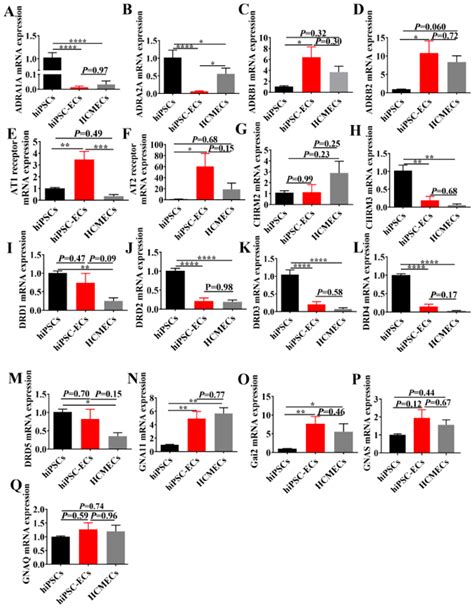 Ijms Free Full Text Functional Characterization Of Human Induced