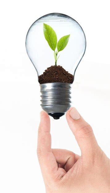 Premium Photo Cropped Hand Of Person Holding Light Bulb