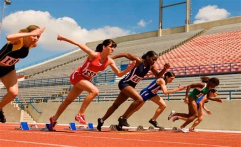 Todas Las Disciplinas De Atletismo Cuadro Sinóptico Cuadro Comparativo