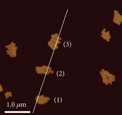 A B Atomic Force Microscopy Image And The Corresponding Height