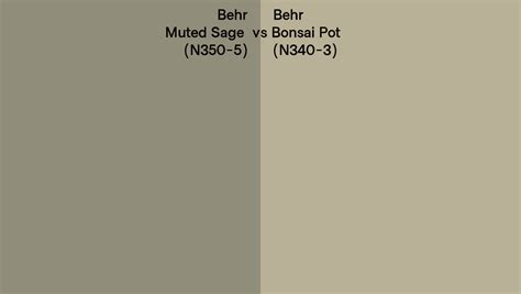 Behr Muted Sage Vs Bonsai Pot Side By Side Comparison