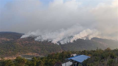 云南丽江、玉溪森林火灾，村民：当地特别旱，四个多月没下雨凤凰网视频凤凰网