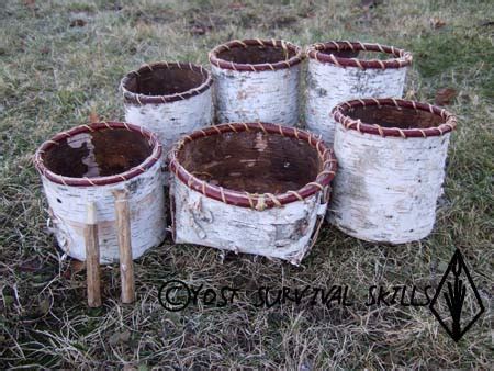 How To Make A Birch Bark Basket Yost Survival Skills Bushcraft And