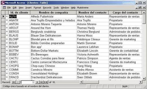 Excel Access Project Elementos De Access