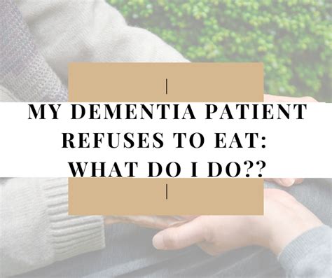 My Dementia Patient Refuses To Eat What Do I Do